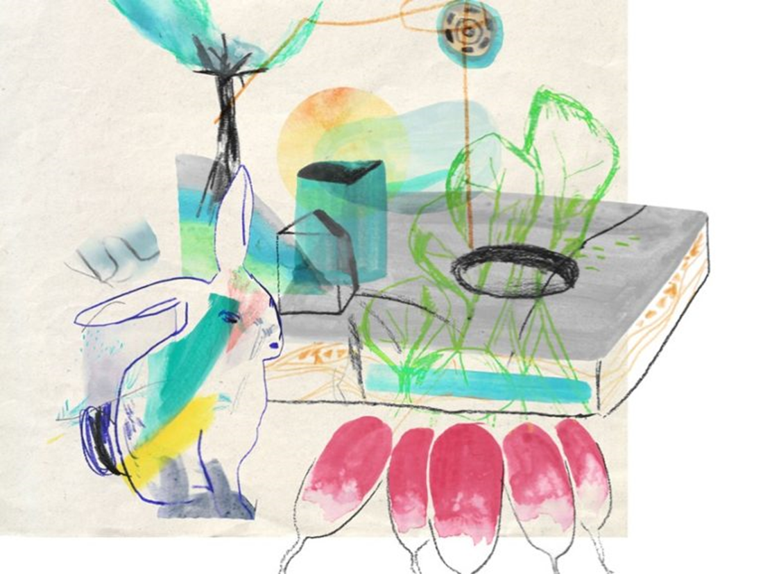 Lapin et Radis un dessin d'Alice Gantier