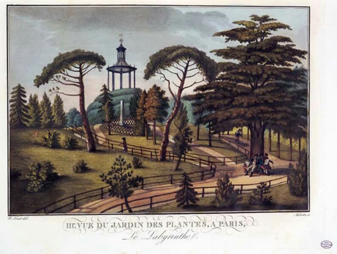 Dessin du jardin des plantes