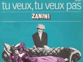 Chanson tu veux ou tu veux pas de zanini