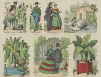 Affiche Le jardin des plantes