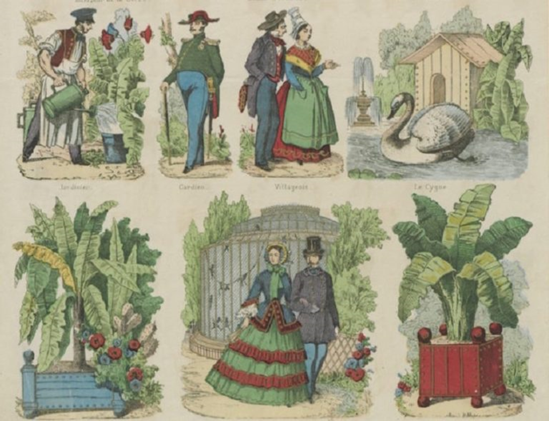 Affiche Le jardin des plantes