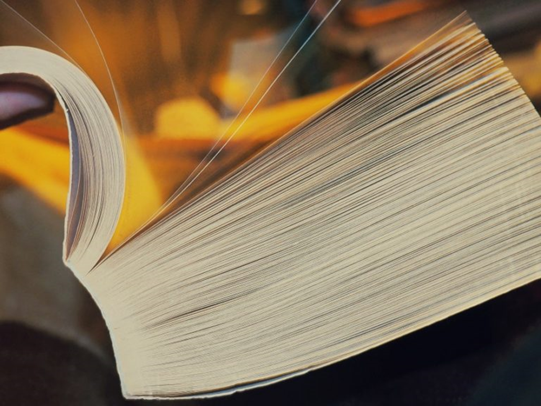 Illustration de la causerie Le Libraire