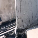 Les travaux d’Arachnide