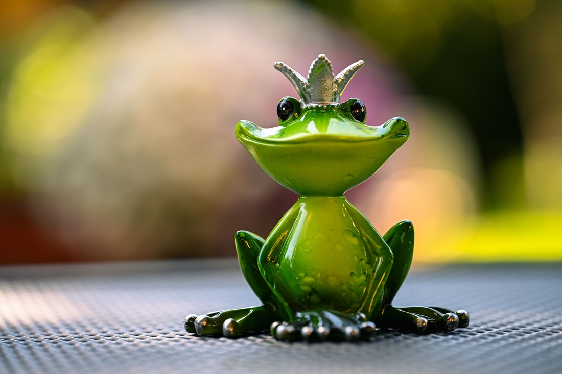 Le prince charmant façon crapaud par Alexas Fotos